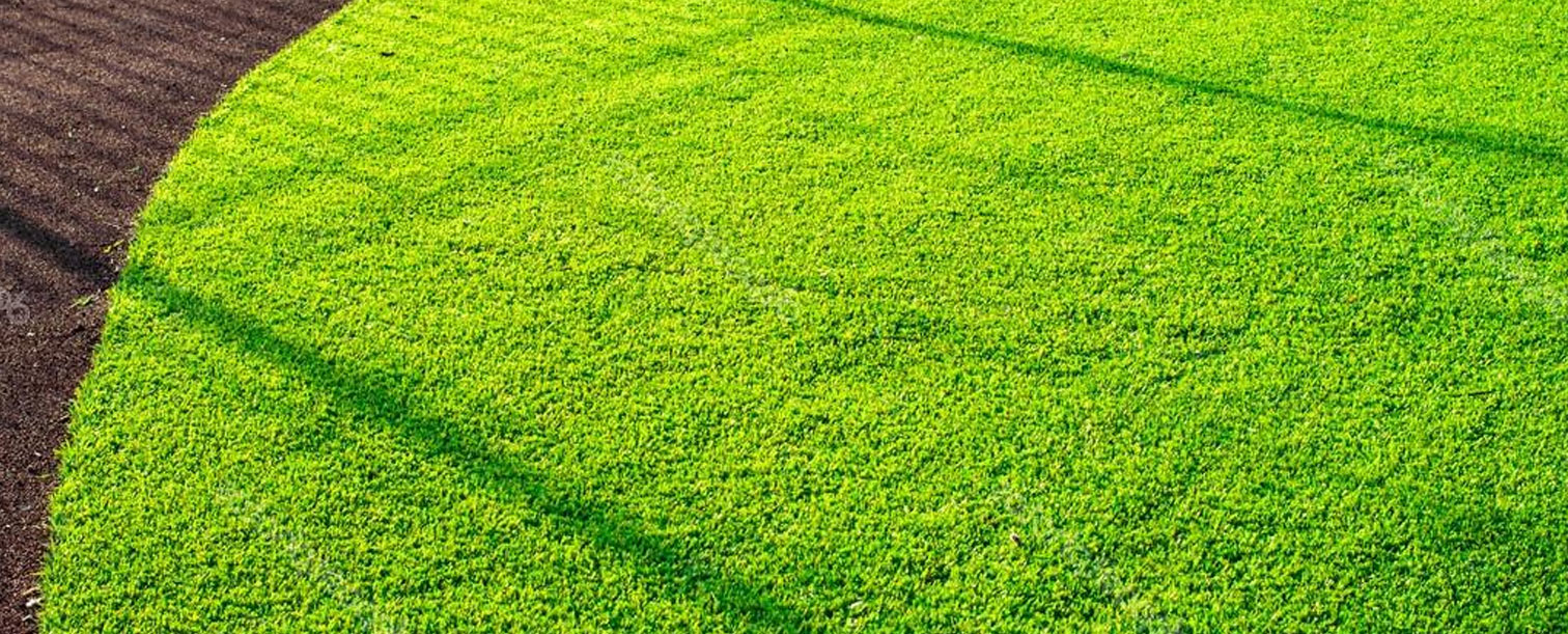 cesped artificial cuidados de verano