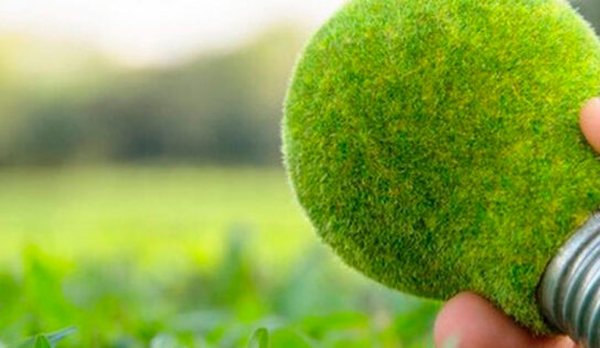 Ahorro de energía en el jardín