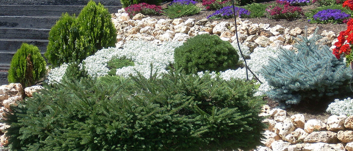 Claves para un diseño de jardín perfecto: riego, césped y fumigación