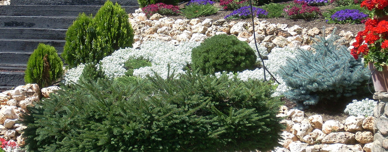 Claves para un diseño de jardín perfecto: Riego, césped y fumigación