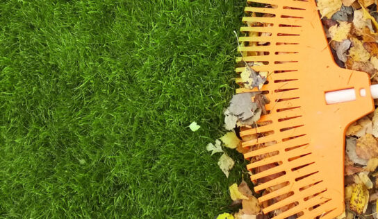 Césped artificial impecable: la alianza perfecta con empresas de limpieza profesional