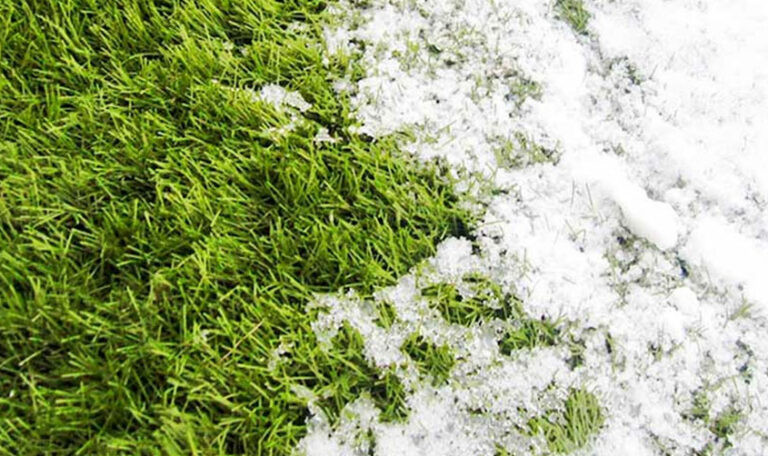 1. Impacto del invierno en el césped artificial y cómo prevenir daños