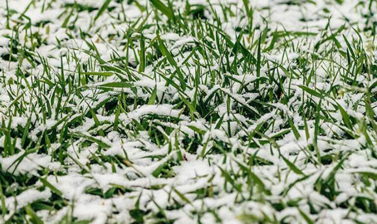 4. Protección del relleno y la base durante la temporada fría