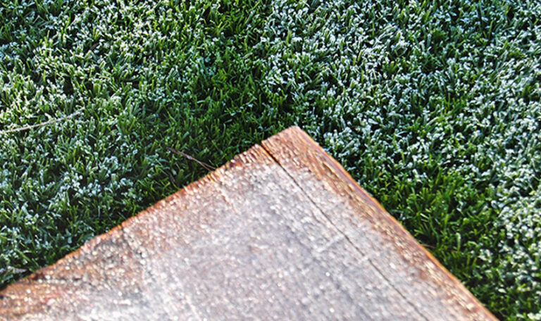 Césped artificial en invierno: cuidados imprescindibles para conservar su calidad