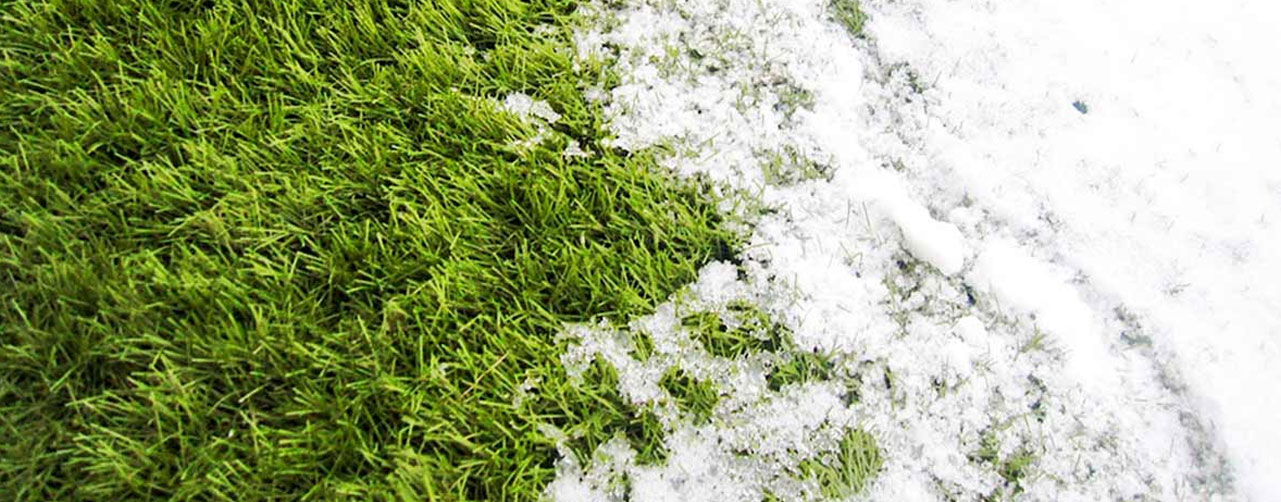 1. Impacto del invierno en el césped artificial y cómo prevenir daños 1. Impacto del invierno en el césped artificial y cómo prevenir daños