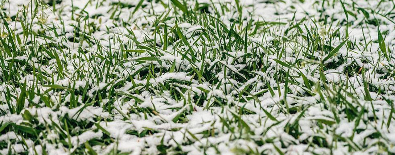 4. Protección del relleno y la base durante la temporada fría 4. Protección del relleno y la base durante la temporada fría