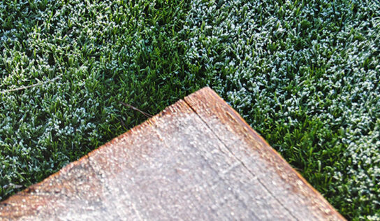 Césped artificial en invierno: cuidados imprescindibles para conservar su calidad