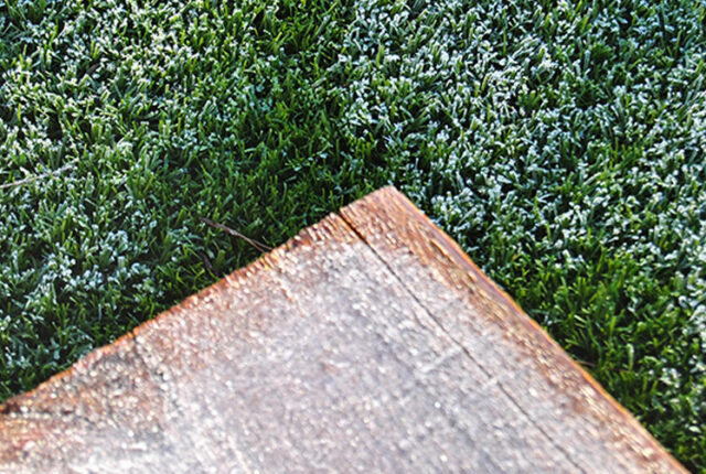 Césped artificial en invierno: cuidados imprescindibles para conservar su calidad