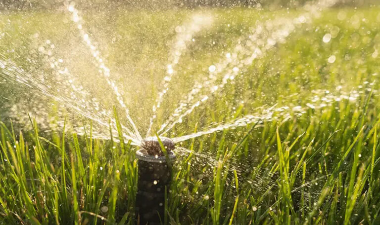 Factores a considerar antes de elegir un sistema
