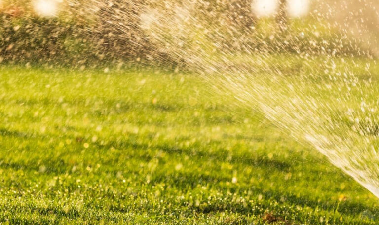 Qué es un sistema de riego moderno y por qué importa