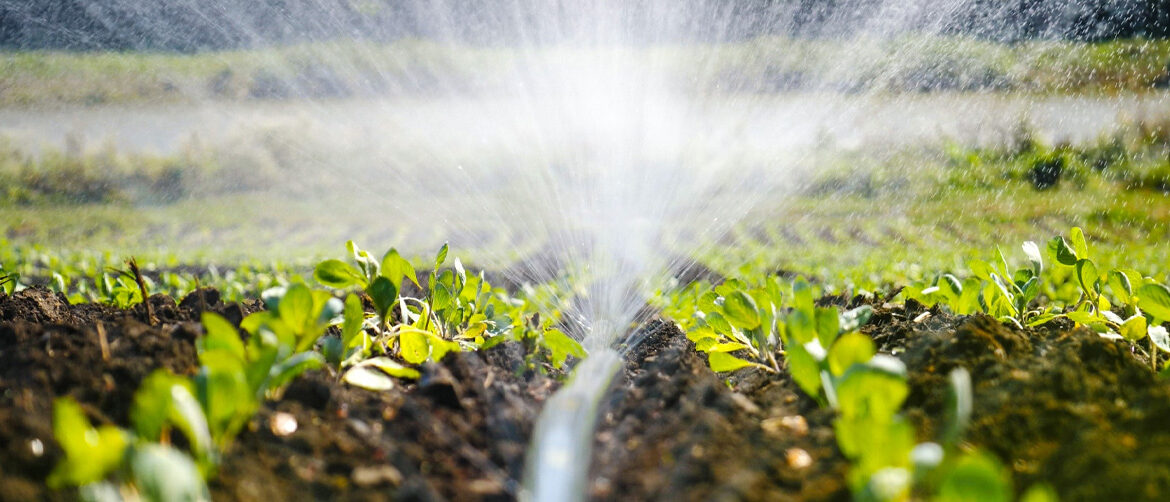 Sistemas de riego para césped