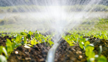 Sistemas de riego para césped