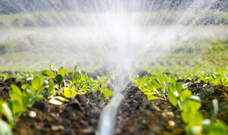 Sistemas de riego para césped