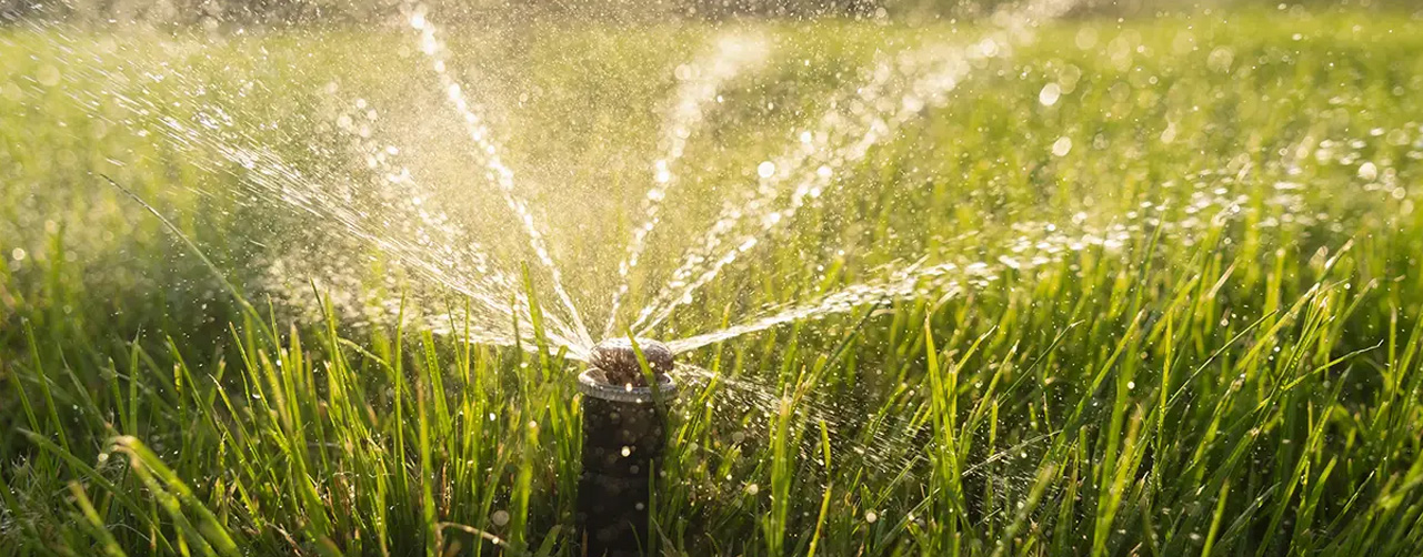 Factores a considerar antes de elegir un sistema