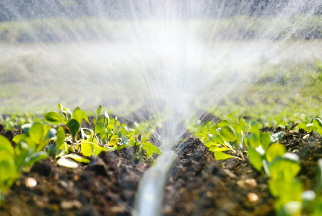 Sistemas de riego para césped