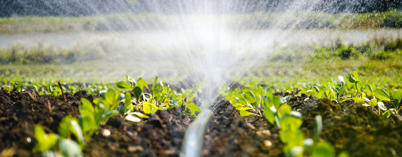 Sistemas de riego para césped