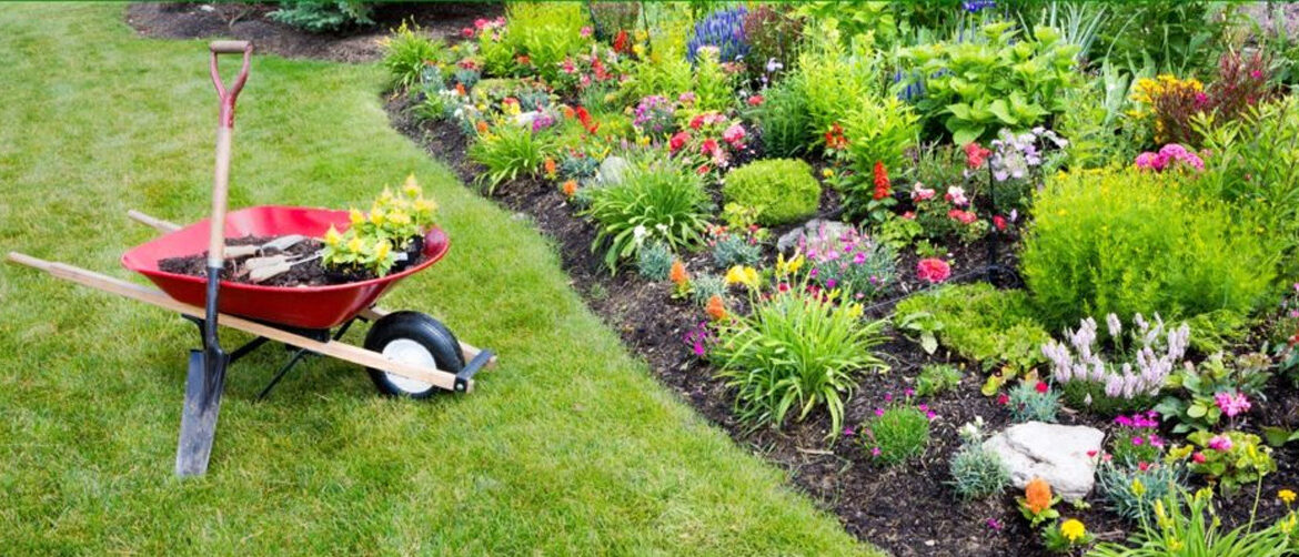 Cómo realizar un correcto cuidado del jardín cuando se tiene césped natural o artificial