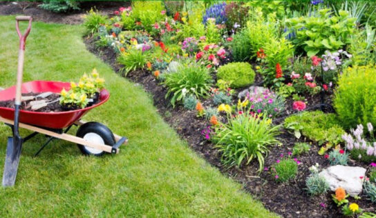 Cómo realizar un correcto cuidado del jardín cuando se tiene césped natural o artificial