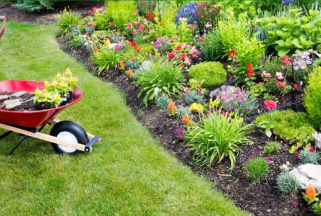 Cómo realizar un correcto cuidado del jardín cuando se tiene césped natural o artificial