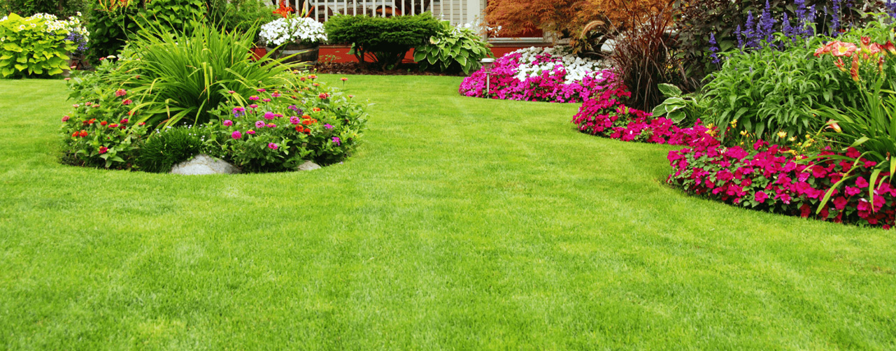 Los secretos para cuidar correctamente un jardín con cualquier tipo de césped Los secretos para cuidar correctamente un jardín con cualquier tipo de césped